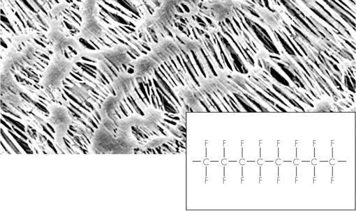 Filtro de membrana PTFE, 0,45µm, 47 Ømm x 100u.