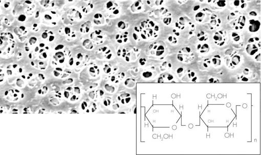 Filtro de membrana RC,no esteril, 0,45µm, 47 Ømm, x100u.