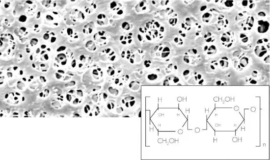 Filtro de membrana RC,no estéril, 0,2µm, 47 Ømm, x 100u.
