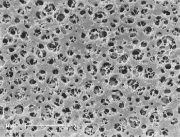 Filtro de Membrana AC, blanco, esteril, 47 Ømm ,0.45 µm
