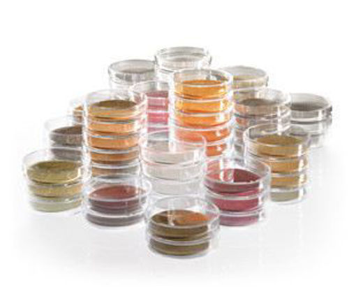 Pads in petri dishes