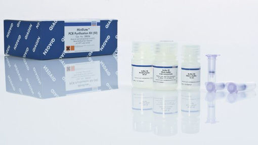 MinElute PCR Purification Kit - purificacion y concentración de productos de PCR post reaccion (elución en mínimo volumen)