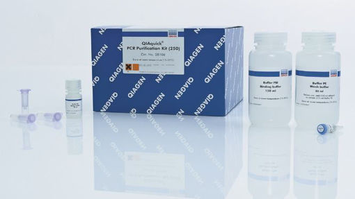 QIAquick PCR Purification Kit - purificacion poductos de PCR post reaccion