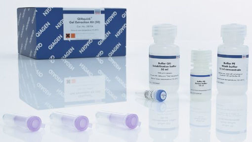 QIAquick Gel Extraction Kit - Extracción y purificacion productos de PCR a partir de bandas en geles de agarosa