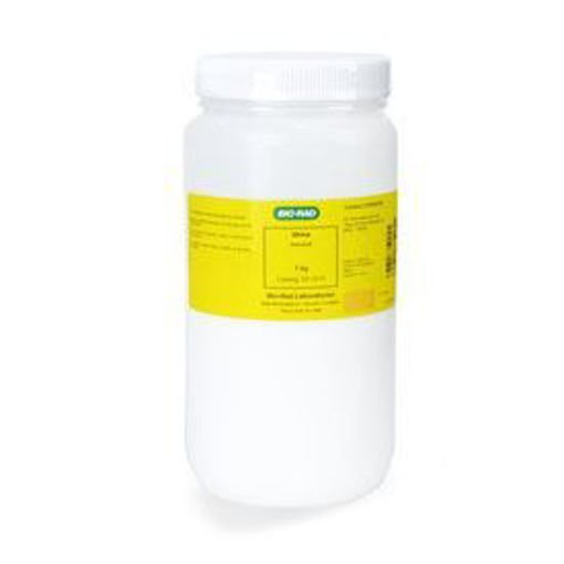 Urea, grado biología molecular x 1000 gr