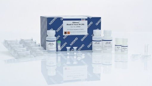 Kit purificacion ADN total a partir de sangre y tejido. 250 muestras