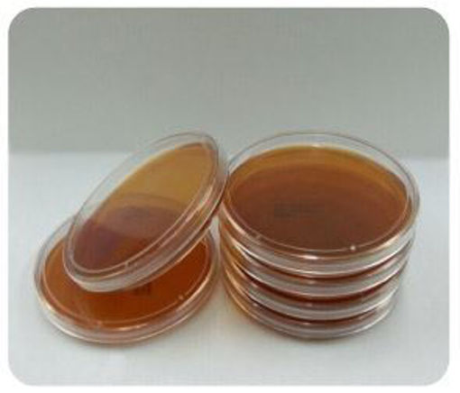Placas de Petri Preparadas - Sabouraud Dextrosa Agar. De 90mm