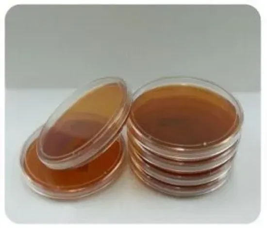 Placas de Petri Preparadas - Sabouraud Dextrosa Agar. De 90mm