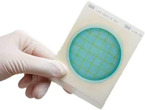 3M Petrifilm Placas para recuento de Bacterias Ácido Lácticas