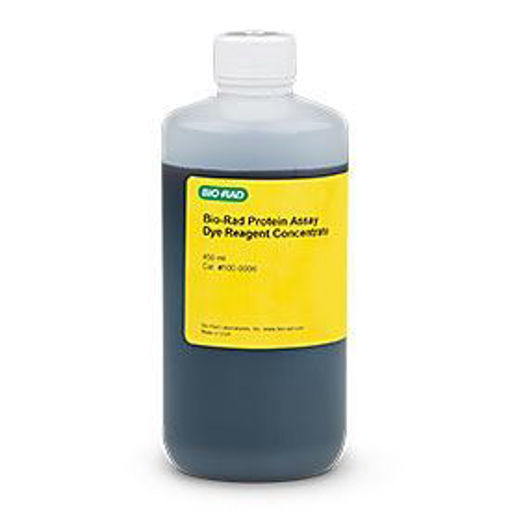 Reactivo colorante para ensayos de cuantificación de proteinas por el método de Bradford x 450ml