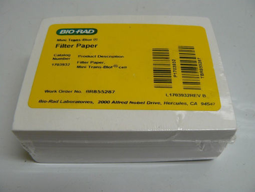 Papel Secante x 50 hojas 7,5 x 10,5cm para Mini Trans Blot