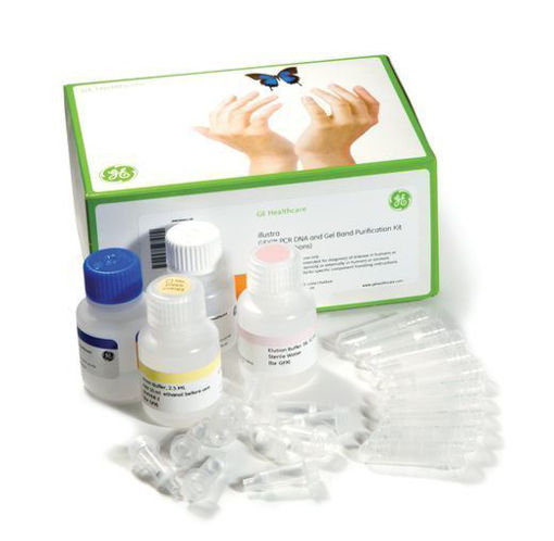 Kit de purificación illustra GFX PCR DNA x 100 reacciones 28-9034-70 