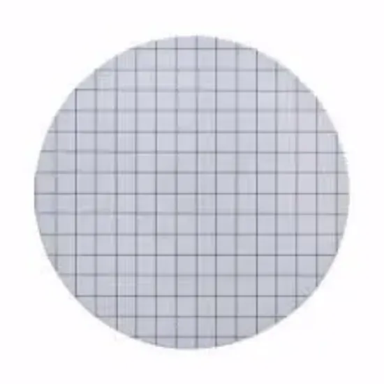 Filtro de membrana Cuadri Esteril 02um Ø47mm x 100u