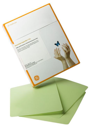 Amersham Hyperfilm ECL 18 x 24 cm x 50u.