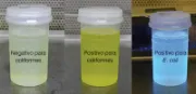 Kit Colitag para det. de E. Coli y coliformes totales P/A en muestra de 100mL