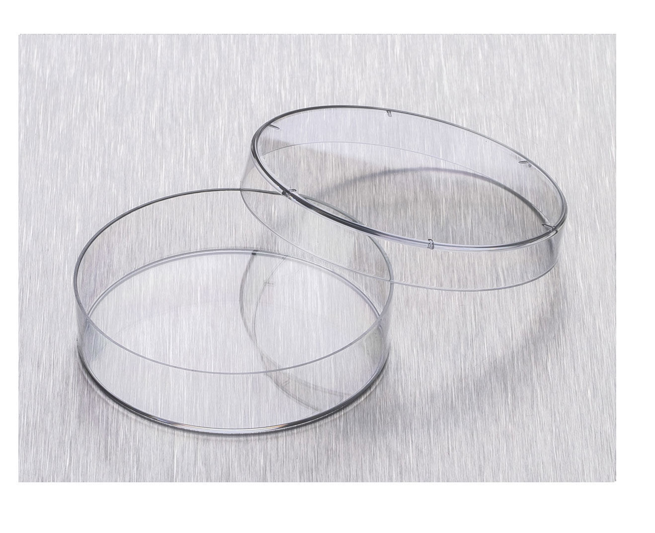 Placa De Petri Função