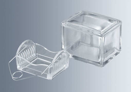 Cubeta de vidrio prensado con tapa para soportes para tinción, fondo solo  (para 10 portaobjetos)