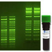 Green-DNA Dye x 1,5ml, listo para usar