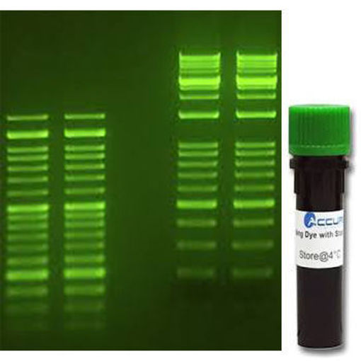 Green-DNA Dye x 1,5ml, listo para usar