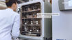 Incubadora CO2 CellXpert 170 lts - 50°C