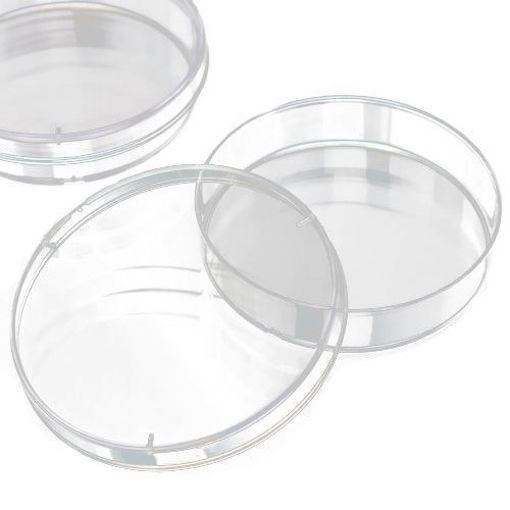 Placas de Petri de 55 mm con pad. - MPP55-5I100 x 100 u 