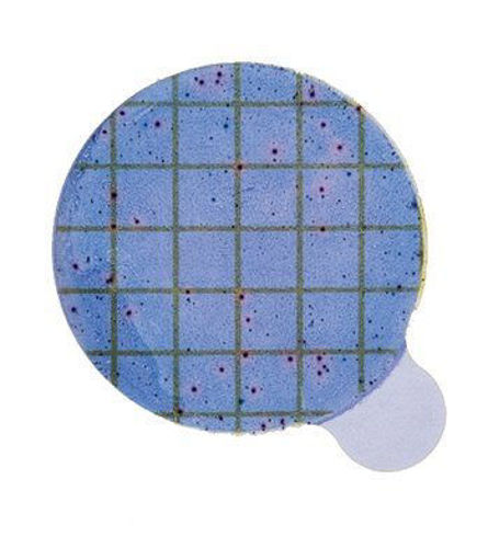 3M Petrifilm Discos Staph Express