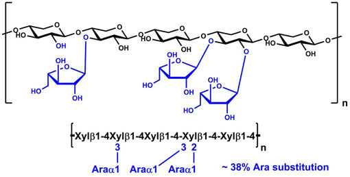 Arabinoxilano (harina de trigo; baja viscosidad) x 3gr.