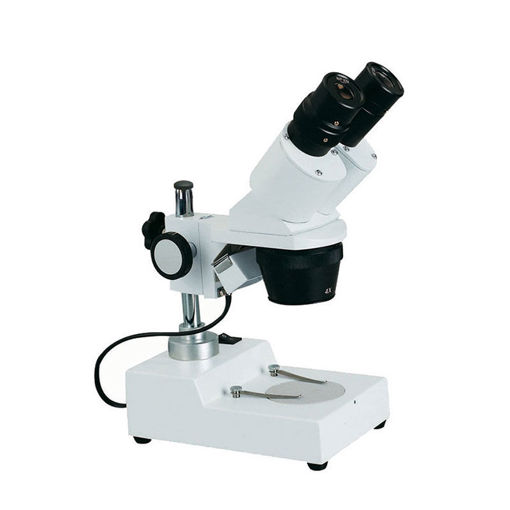 Lupa binocular estereoscópica ST30-L, 20X Y 40X, LED