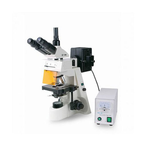Microscopio Trinocular Para Epifluorescencia XSZ-146AT, Óptica Plana