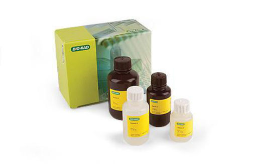 Kit básico de acrilamida TGX Stain-Free™ FastCast™ 10 %