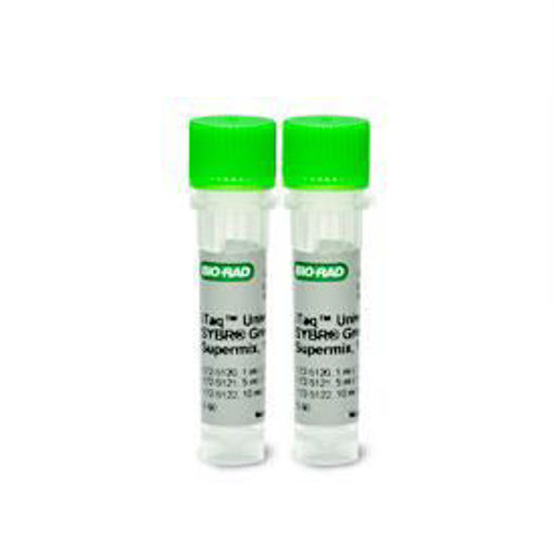 iTaq Universal SYBR Green Supermix, 2 ml (2 x 1 ml), 200 x 20 ul