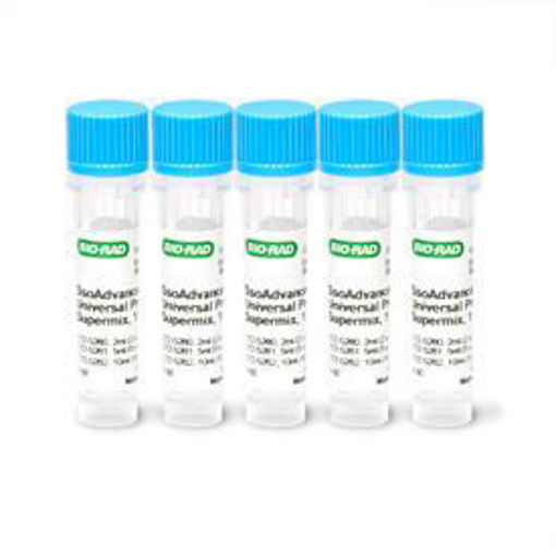 Sso Advanced Universal Probes, 5ml, 5 x 1 ml, 500 x 20 ul