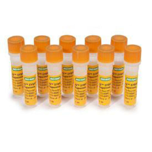 IQ Sybr Green Super Mix, 500 reacciones x 50ul, 10 x 1,25 ml, 12,5 ml