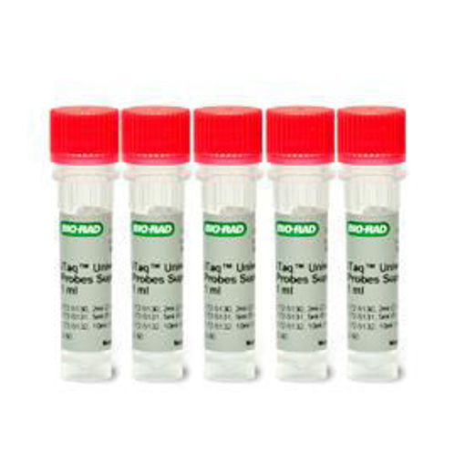 iTaq Universal supermix para sondas, 500 x 20 ul, 5ml, 5 x 1 ml