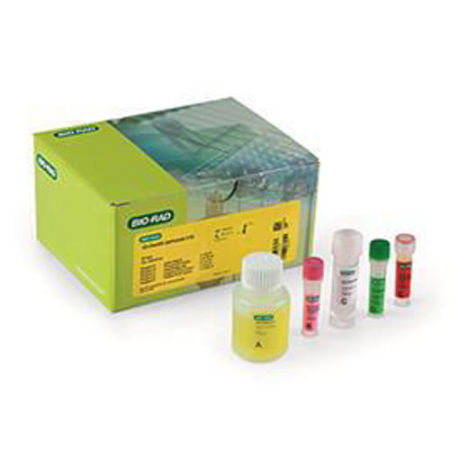 Kits de detección de PCR iQ-Check Cronobacter