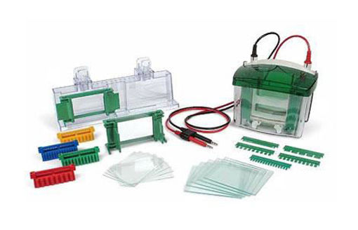 Celda de electroforesis tetravertical Mini-PROTEAN®, 2 geles, para geles fundidos a mano de 1,5 mm de espesor