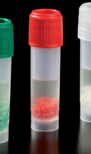 Crioperlas para la conservación de cepas microbiológicas color rojo x 100u.