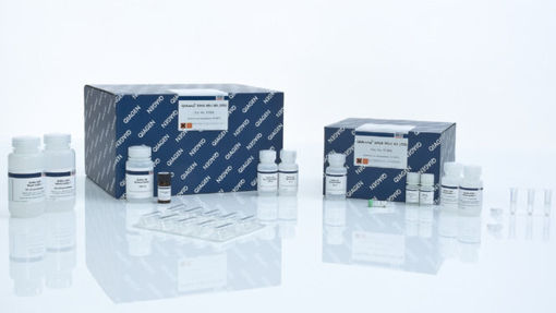  Mini kit de Purificación de ADN de sangre, fluidos y tejidos, QIAamp DNA x 250u. 