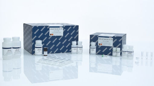  Mini kit de Purificación de ADN de sangre, fluidos y tejidos, QIAamp DNA x 250u. 