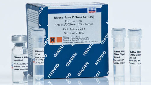 Digestion de DNA, RNase-Free DNase Set x 1500u. (50 RNA minipreps, 25 midipreps o 17 maxipreps)