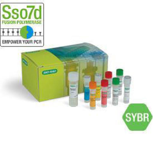 Kit SingleShot™ SYBR ® Green para lisis celular y RT-qPCR x 100 reacciones de  50 µl 