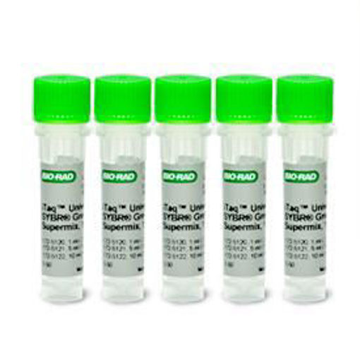iTaq Universal SYBR Green Supermix, 5 ml (5 x 1 ml), 500 x 20 ul
