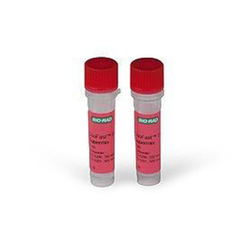 SsoFast Eva Green Supermix, 2 x 1 ml tubos, 200 x 20 µl reacciones