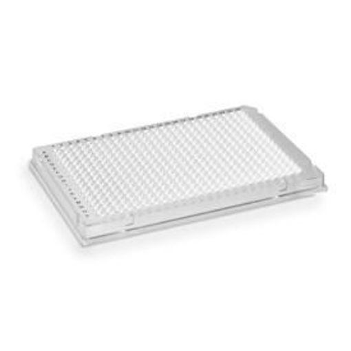 MICROPLACA PCR de 384 pocillos Hard-Shell®, pared delgada, con faldón, transparente/blanco x 50u