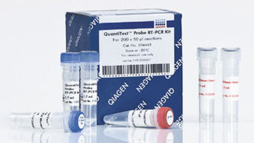 QuantiTect Probe RT-PCR Kit (200)