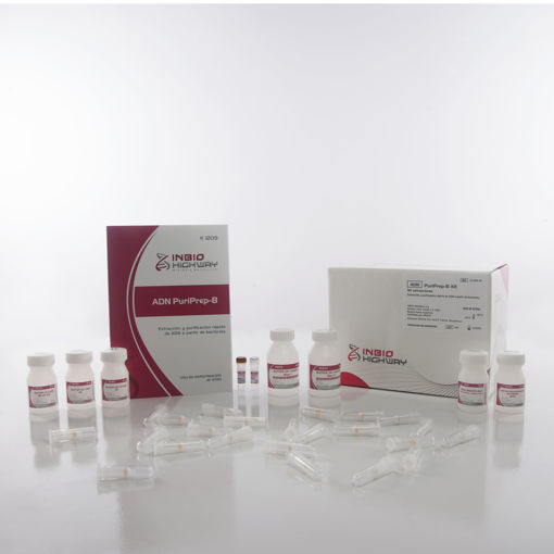 ADN Puriprep B-kit para bacterias x 50u. A partir de bacterias Gram positivas y Gram negativas