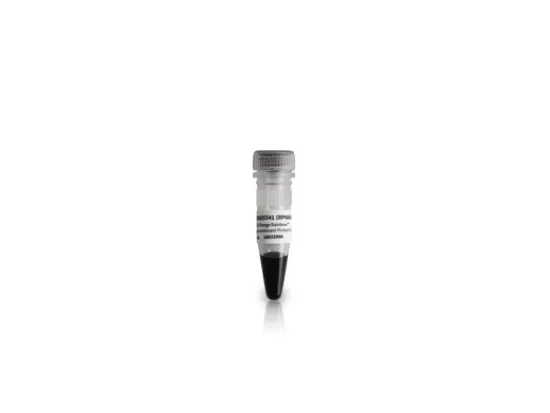 Marcador de Peso Molecular Rainbow ECL Amersham Cytiva - 250ul, rango completo