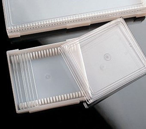 Cajas para 25 portaobjetos color blanca