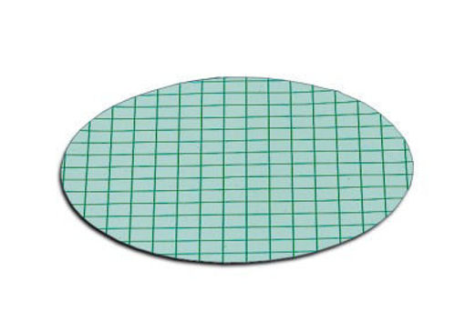 Filtro de Membrana de Nitrato de Celulosa (CN) 47 Ømm, estéril green/dark green, 0.45µm x 100u.
