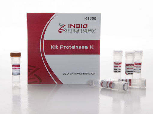 Kit Proteinasa K x 100mg (incluye buffer de proteinasa K)